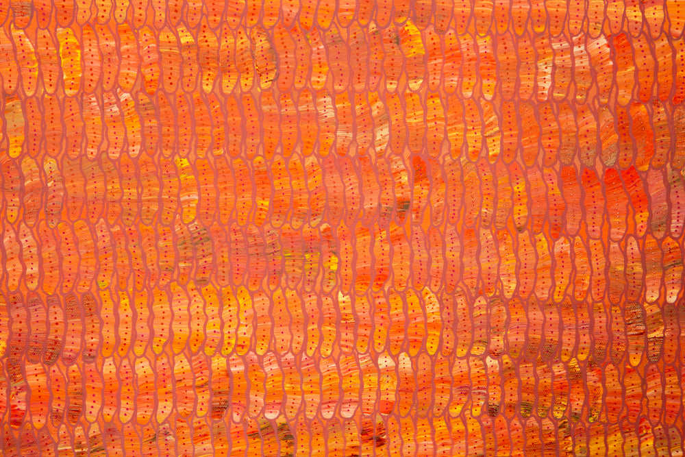SEEDS OF HOPE Print